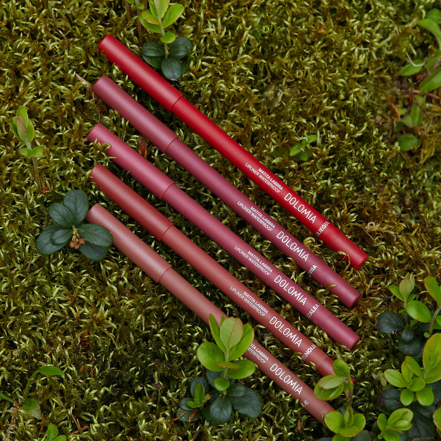 Immagine prodotto 32